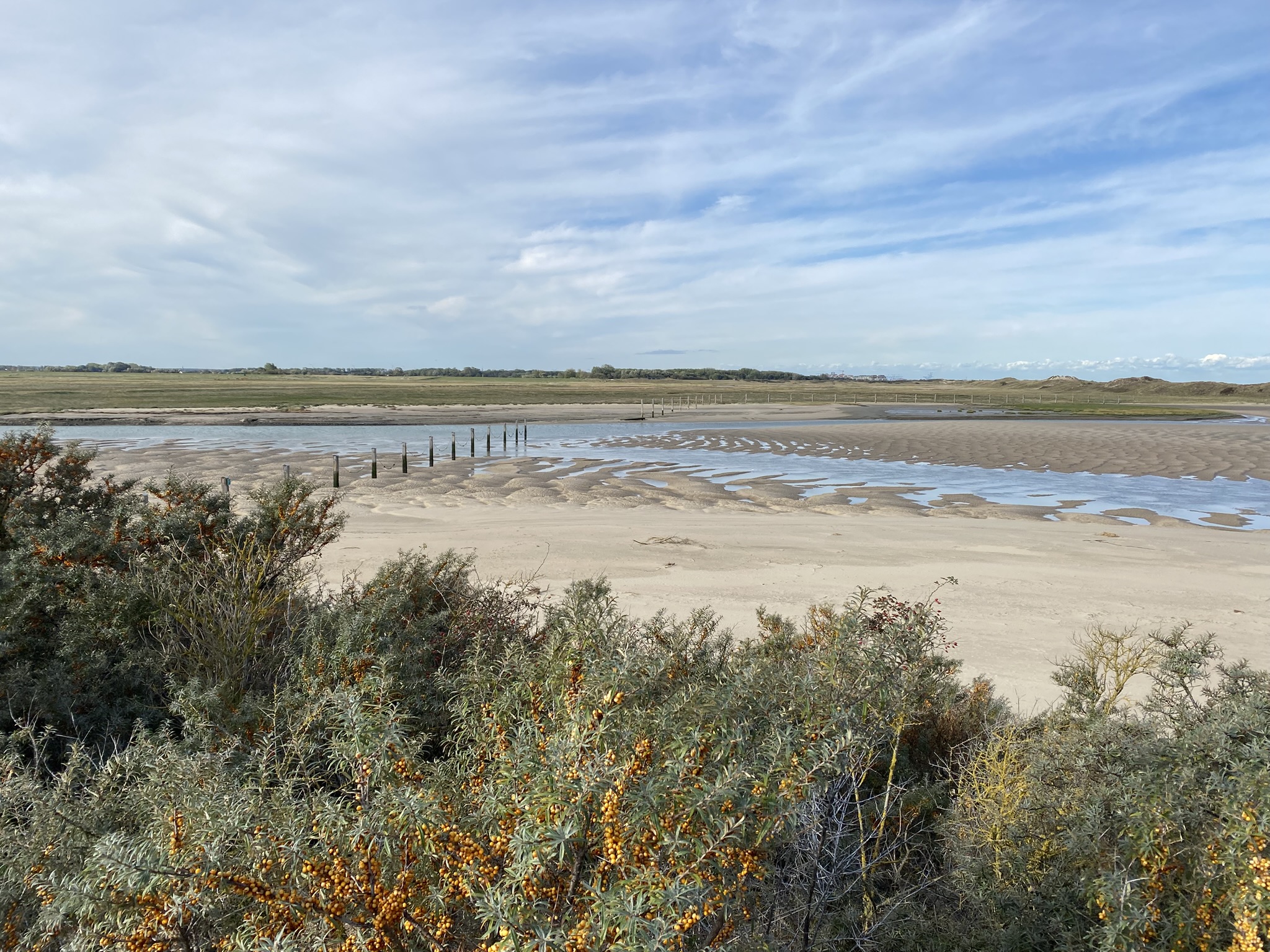 Uitzicht tijdens onze fietstocht op het Nederlandse gedeelte van natuurpark het Zwin. 