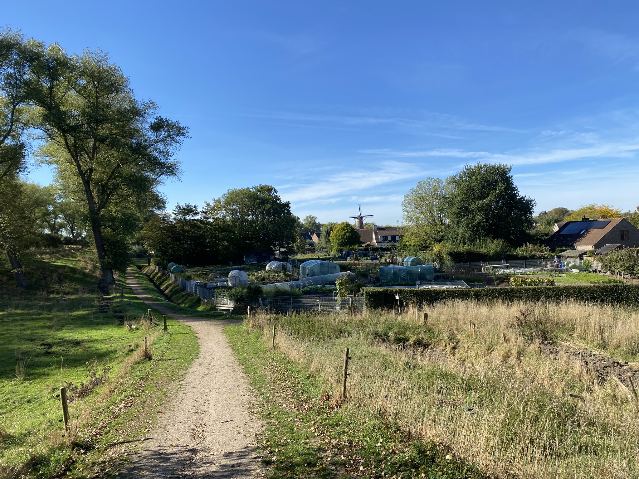 Uitzicht op de molen van Sluis. 