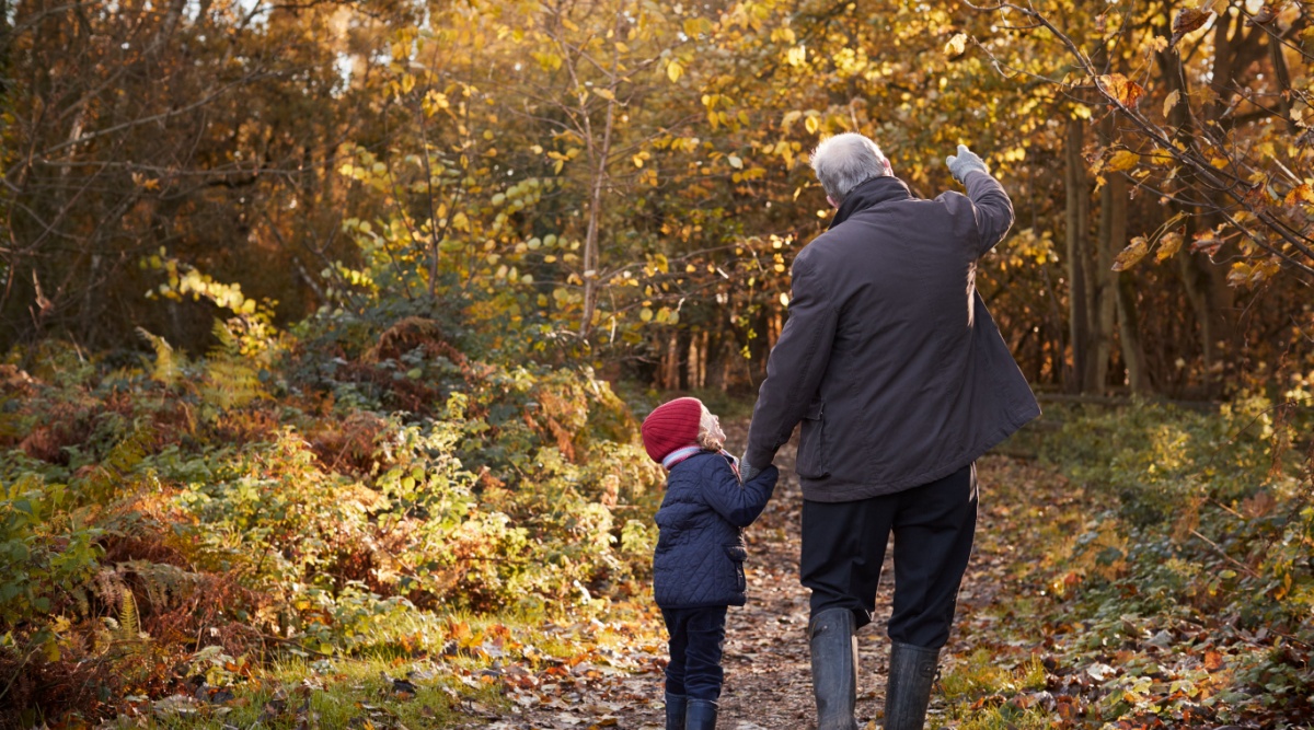 Een kind met haar opa in het bos in de herfstvakantie.