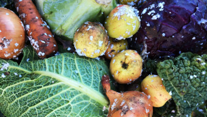 Stoppen met goede voornemens en gewoon met de seizoenen mee eten.