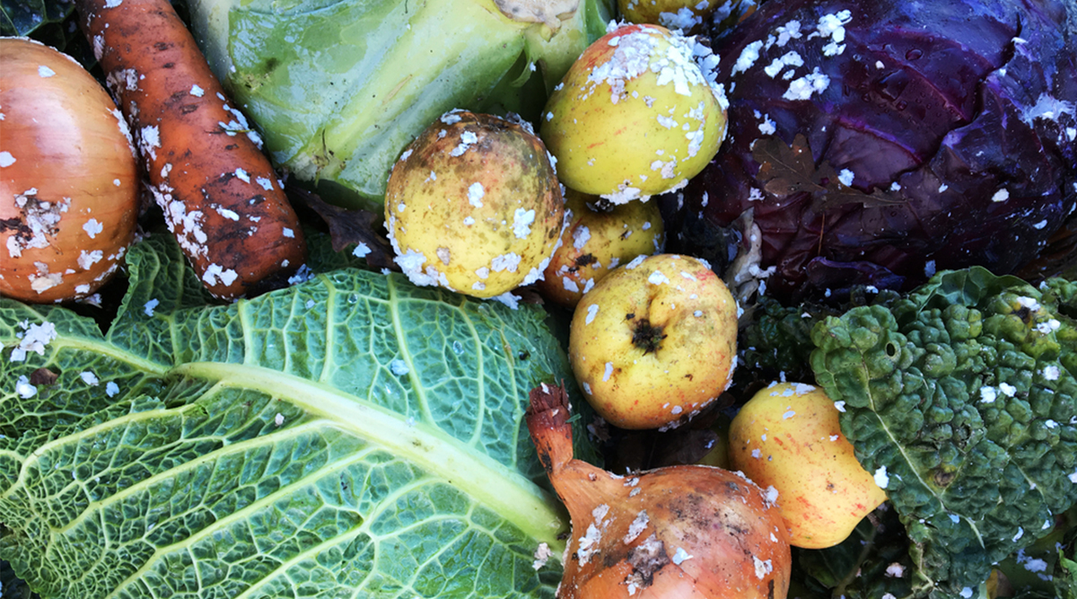 Stoppen met goede voornemens en gewoon met de seizoenen mee eten.