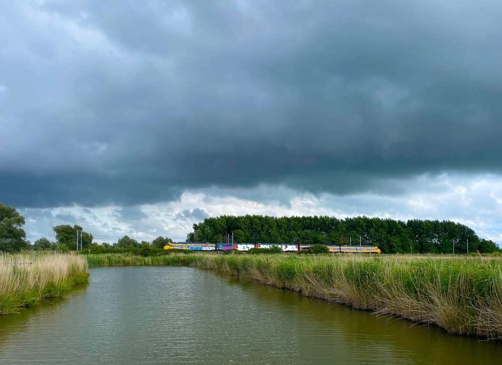 Met de trein door de Oostvaardersplassen