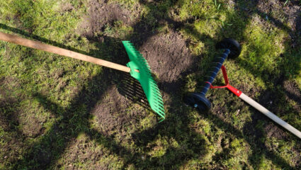 Mos in het gazon verwijderen