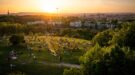 vrolijk-door-zon-Shutterstock_2469869927-1200×667