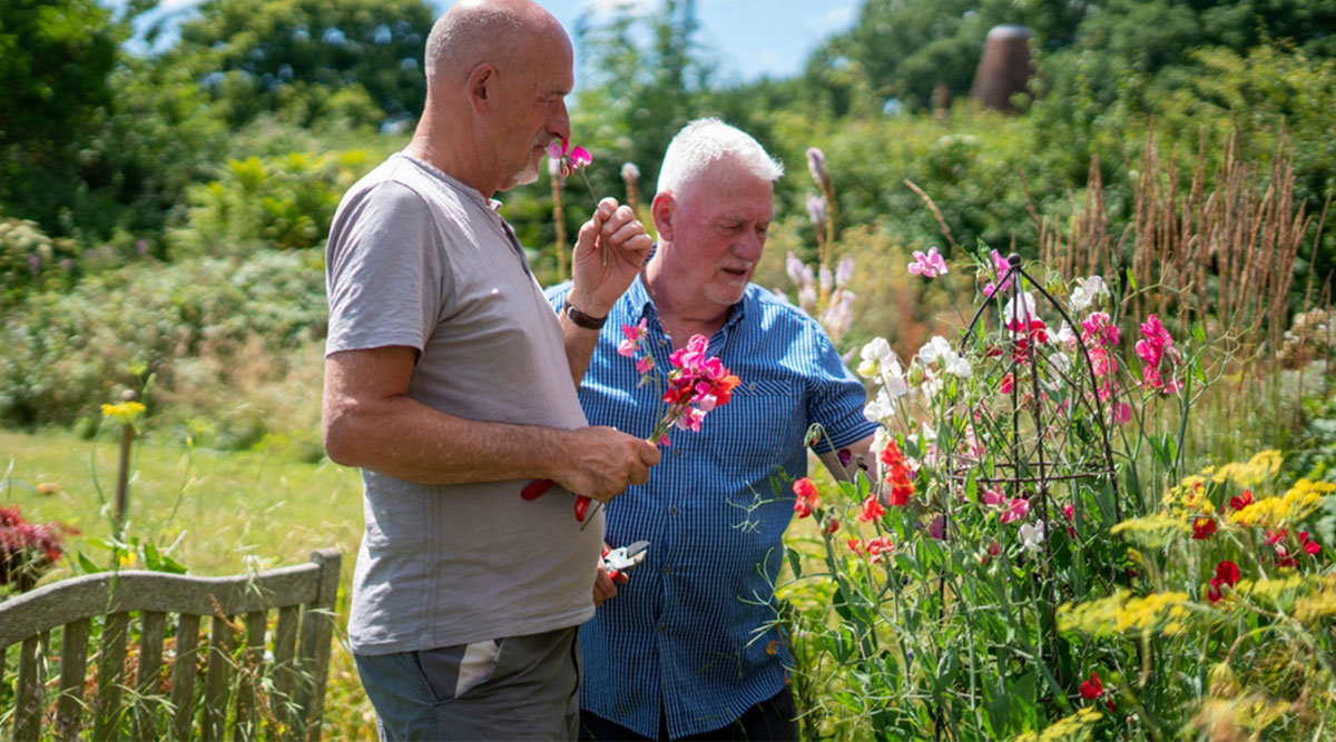 Tuinen bekijken tijdens een open tuin