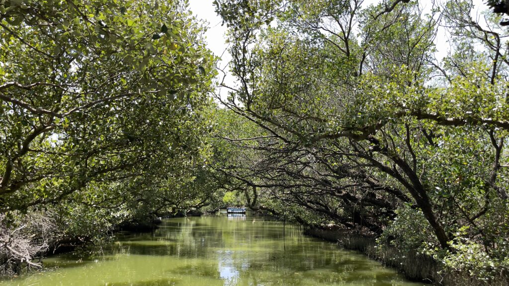 Anping Tree House