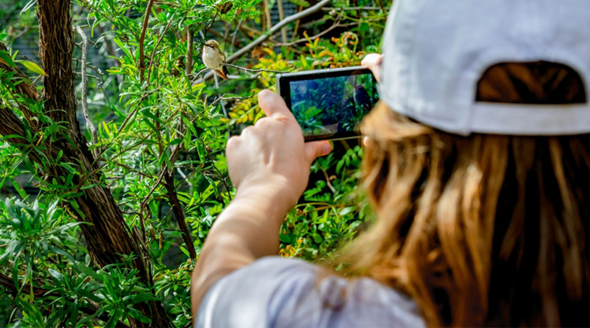 Een vrouw probeert vogels te herkennen met een app