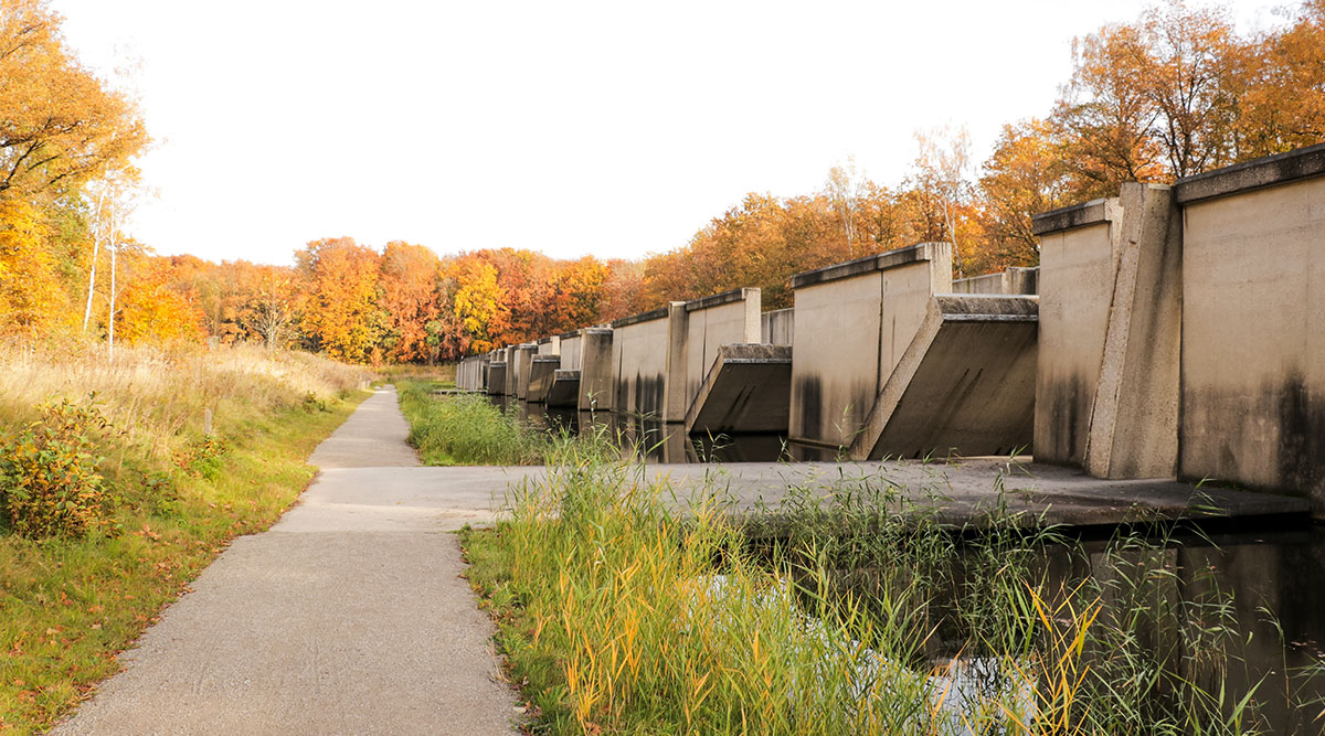 De Deltawerken in het Waterloopbos in Marknesse.