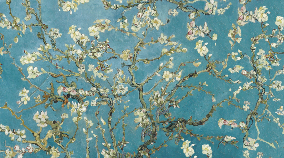 Amandelbloesem van Vincent van Gogh