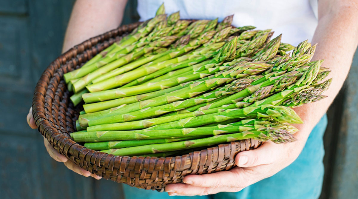 Een mand met groene asperges in de lente
